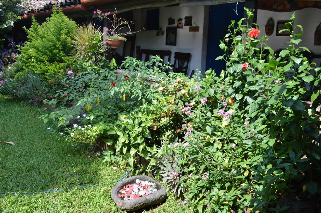 Casona Los Vega Izalco Zewnętrze zdjęcie